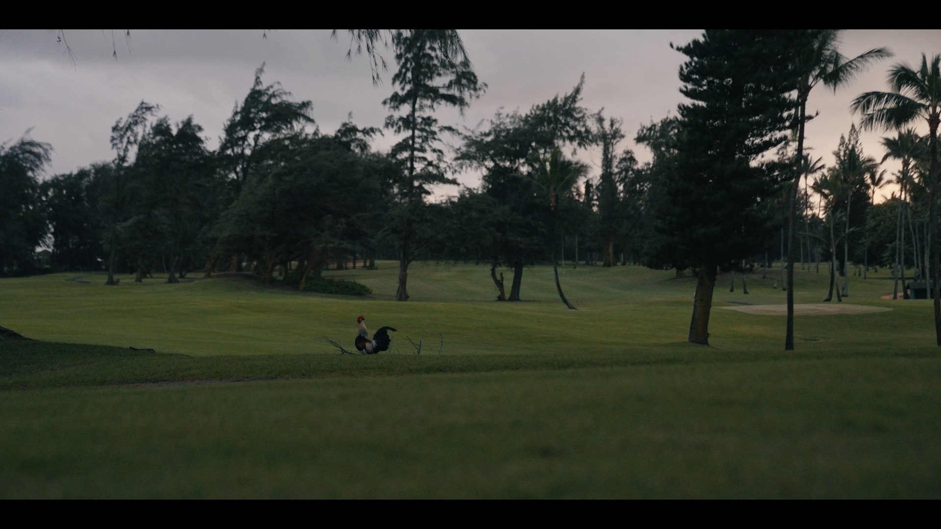 AIG — still